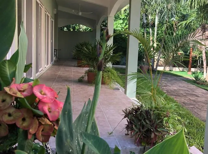 Beach House Luxury Vacation - Paradise 2 Prívate Master Suites Ocean&garden View Acomodação com café da manhã 